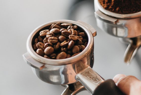 Perbedaan Arabica dan Robusta